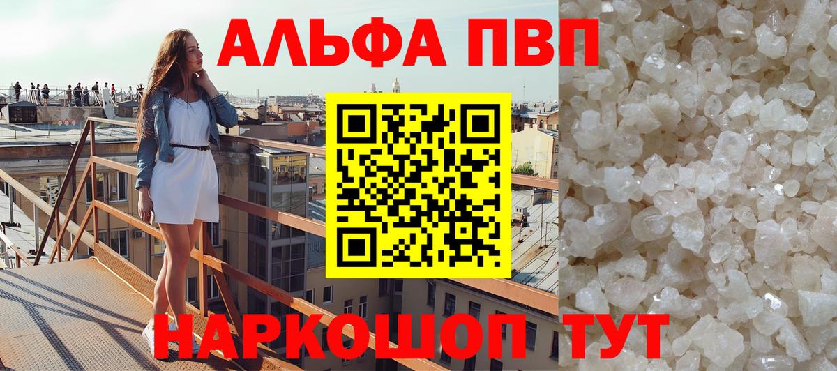 A PVP СК КРИС Прохладный