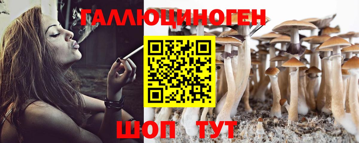 Псилоцибиновые грибы мухоморы  Вход с VPN  Прохладный 